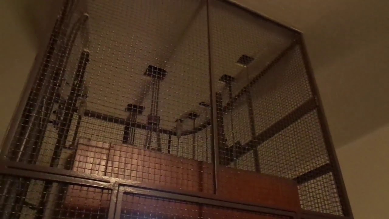 Amazing Old 1964 KONE Traction Elevator @ Albertinkatu 22-24, Punavuori, Helsinki, Finland