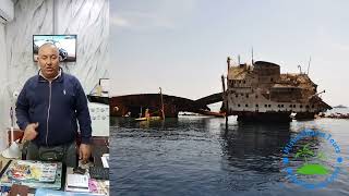 Misha Sharm Tours. Excursions Sharm Egypt. Экскурсии Шарм Египет.