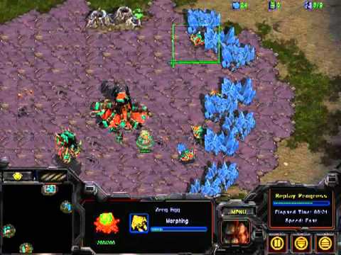 StarCraft BroodWar- The Worst Split in ManKind.mp4