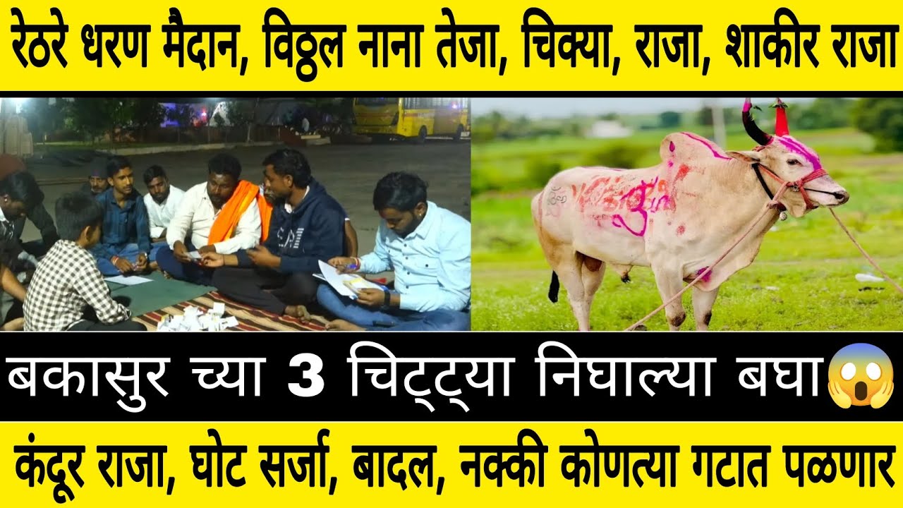 रेठरे धरण मैदान, बकासुर नाना तेजा, चिक्या, राजा, राजा, घोट सर्जा, बादल, नक्की कोणत्या गटात पळणार 