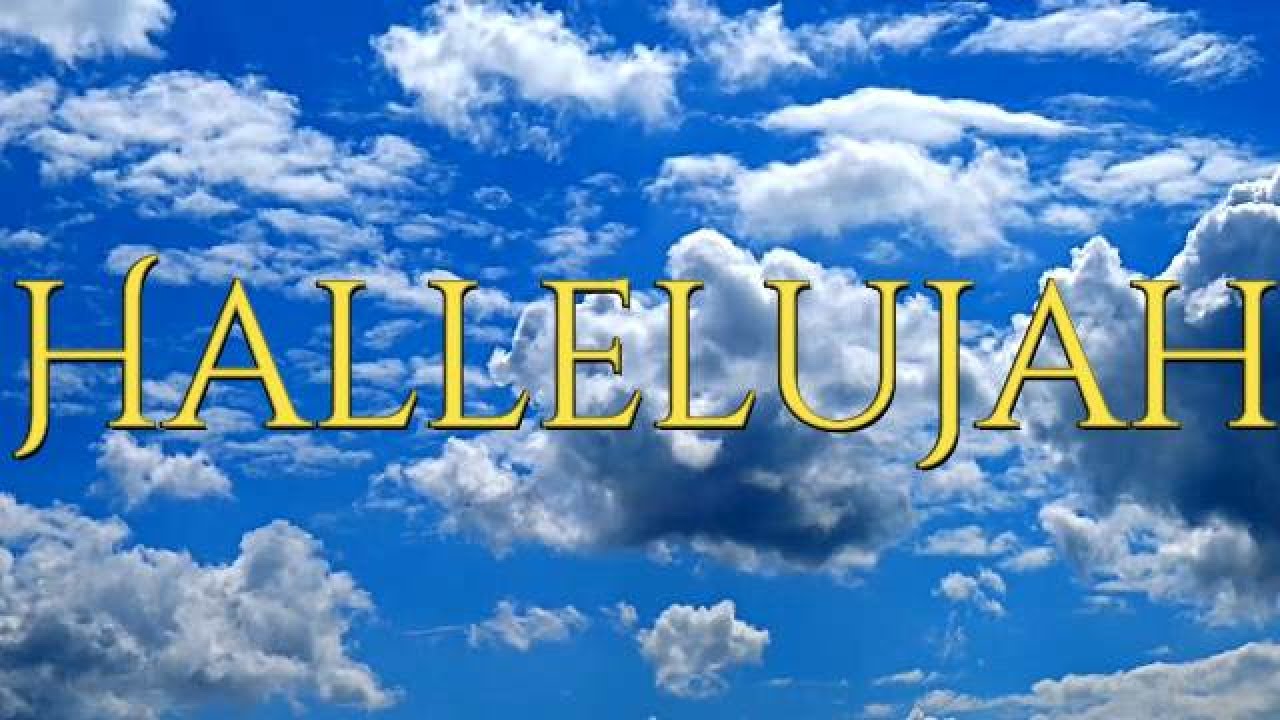 My Cover Of Hallelujah YouTube