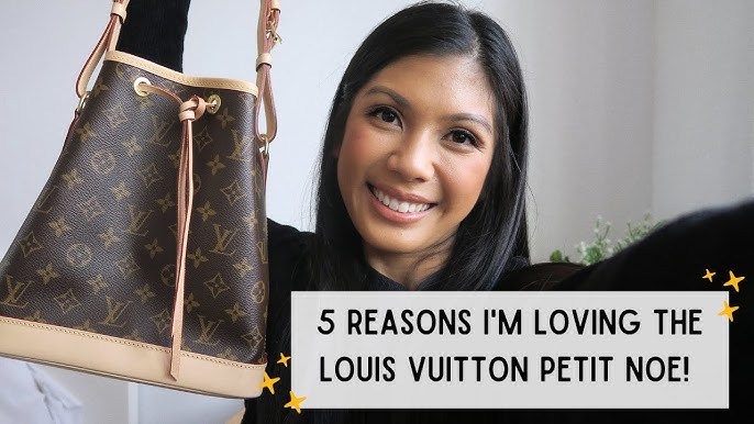 LOUIS VUITTON PETIT NOE: 6 MONTH REVIEW! Wear and tear? Is it worth it?