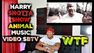 HARRY SHOTTA SHOW | Animal Music Video׃ SBTV Reaction