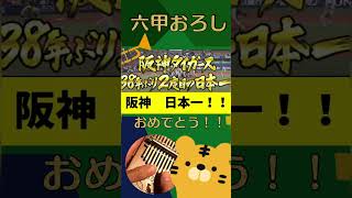 阪神タイガース38年ぶり2度目の日本一を祝し！六甲おろし?《カリンバ演奏》