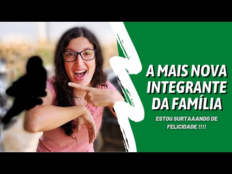 FUI BUSCAR A AVE DOS MEUS SONHOS - UDP