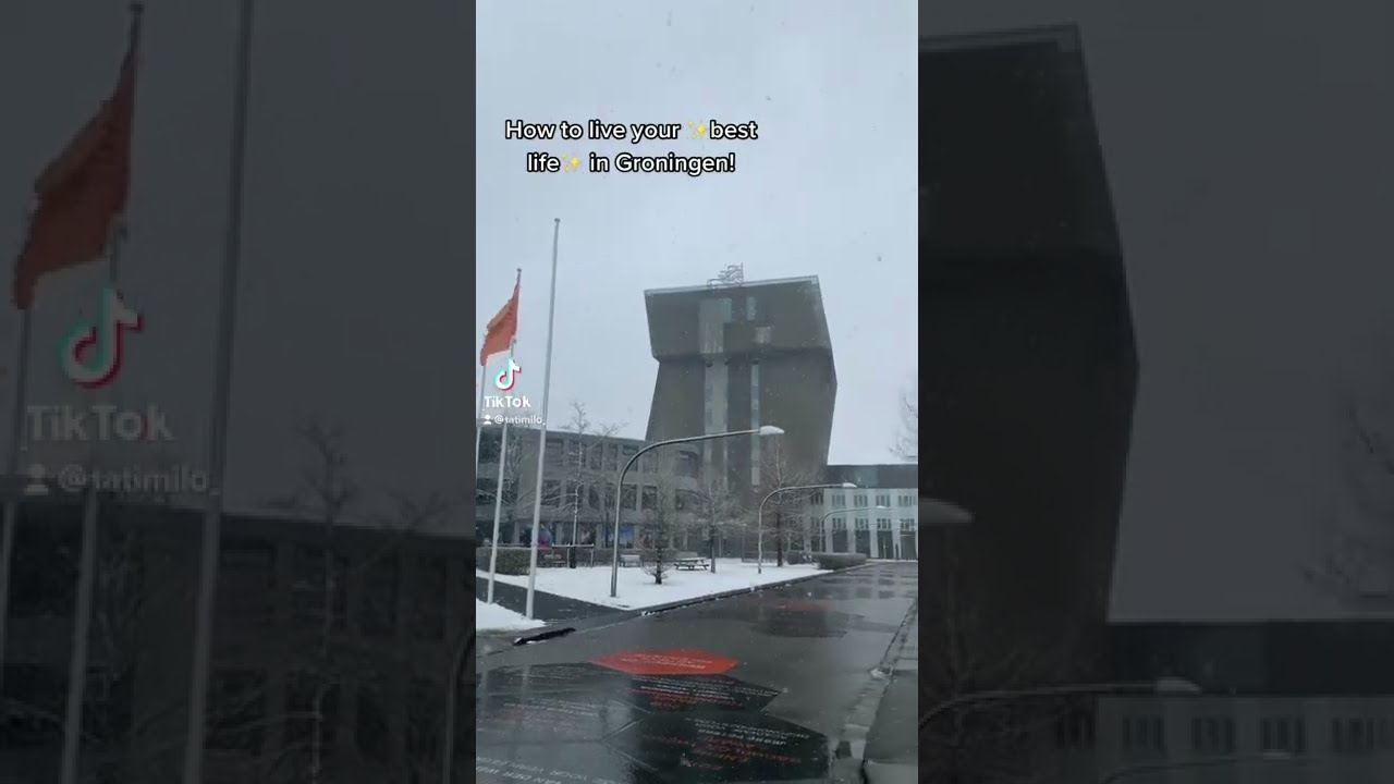 How to Live Your Best Life in Groningen, Netherlands | Beyond the States