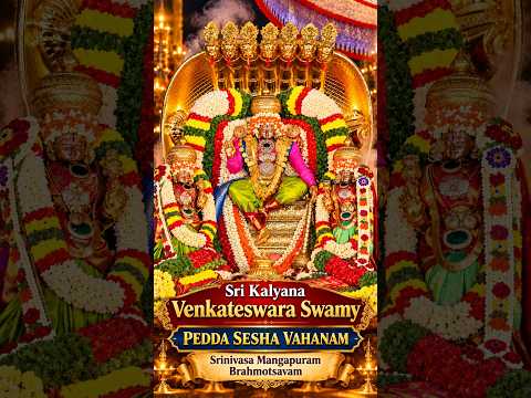 Sri Kalyana Venkateswara Swamy Pedda Sesha Vahanam | Srinivasa Mangapuram | Divine Darshan