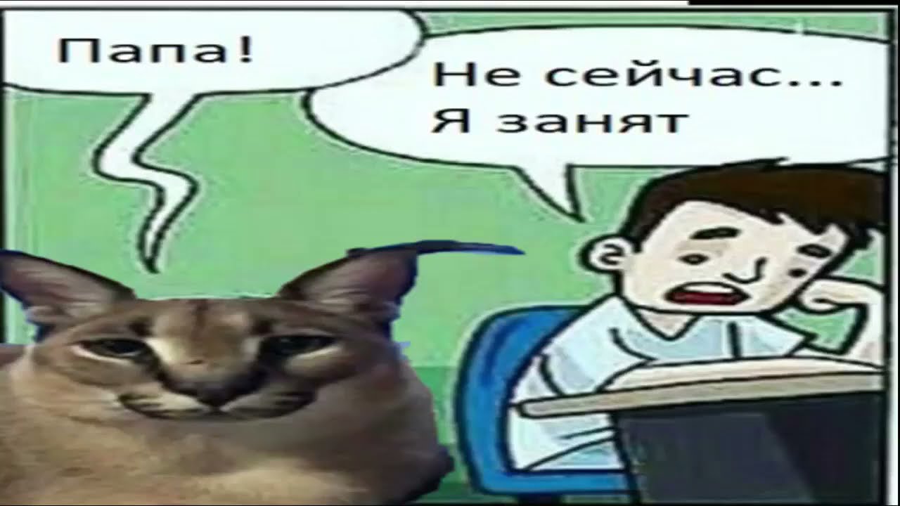 Шлепа мем кот картинки