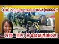 【Crazy Bonsai Bubble】$100 to $10000！Macro Bonsai market in Japanese Bubble era was crazy!!