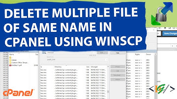How to Delete Multiple Files of Same Name Existing in cPanel File Manager Using WinSCP