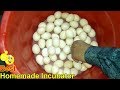 DIY Homemade Incubator || How To Make Egg Incubator Simple And Easy (Hatching Chicken Eggs)