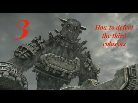 Come sconfiggere 3 ° Colosso - Shadow of the Colossus