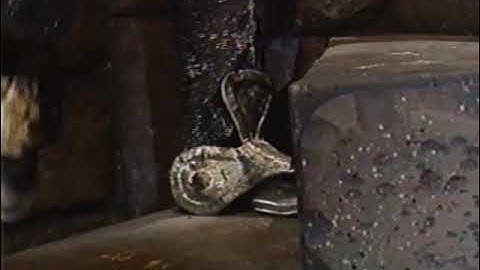 Adventure Bus (Canada Version) Part 28