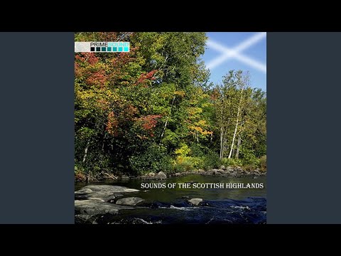 在 YouTube 上观看 Windy Scottish Loch Ambience. (On windy day with wooded shoreline birds)