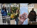 fall week in my life: fall clothing haul, date night & home decor!  | Keaton Milburn