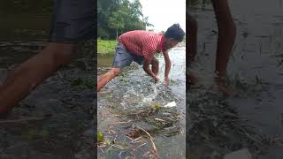 Download Lagu A boy catching big fish from river #shorts #fish #fishing MP3