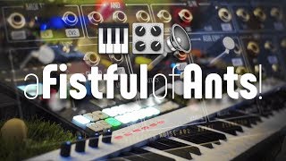 A Fistful of Ants!: Live Jam with Elektron Digitakt and Plankton Electronics Ants!