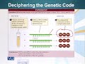 GEN731 Advanced Molecular Genetics Lecture No 44