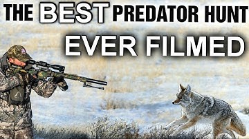 The Best Predator Hunt Ever Filmed  | 25 Coyotes Down With Four Different Calibers | New 2025