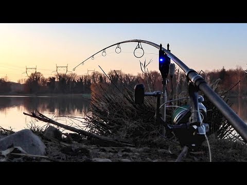 Vidéo: Comment Attraper La Carpe En Hiver