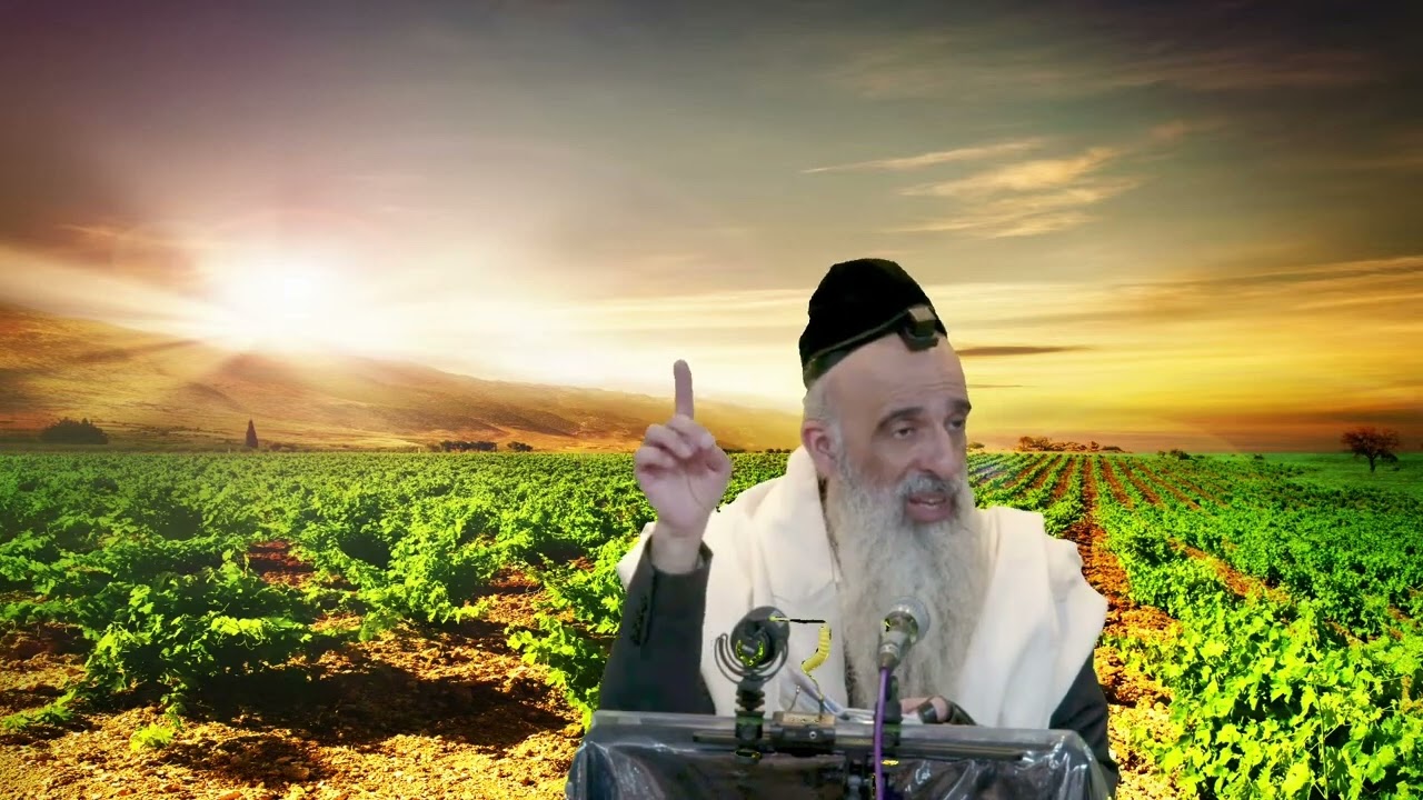 הרב מאיר דוד שמואלי - זכו לישועות בזכות שמירת דיבור בבית הכנסת