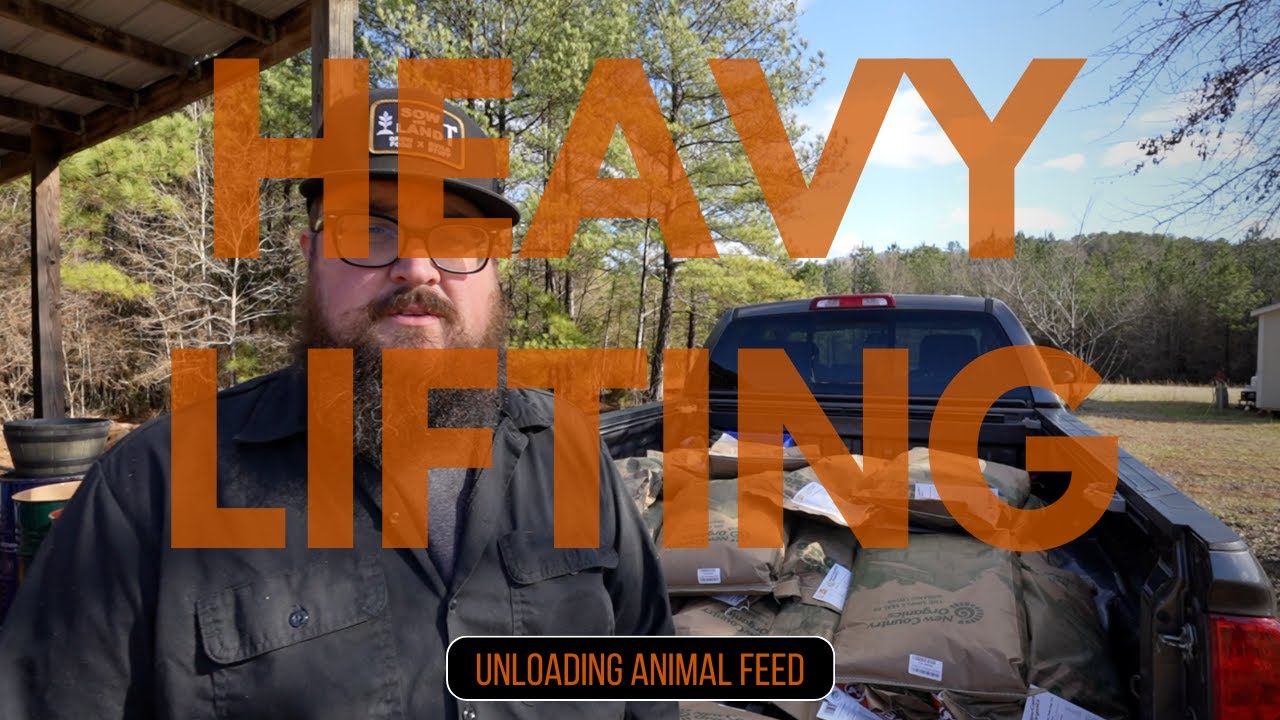 RESTOCKING ANIMAL FEED | PREPPING FUTURE GARDEN AREA - YouTube