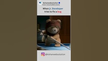When jr  Developer tries to fix a bug
