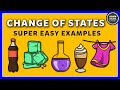 States of Matter and Particle Motion in Everyday Life