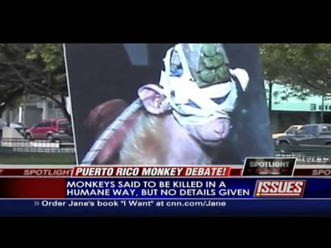 HLN: Judge bans monkey breeding lab