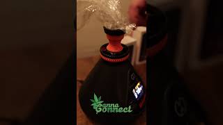 Experience the ultimate Grow at Home Boot Camp hosted by Canna Connect & MN Cannabis College