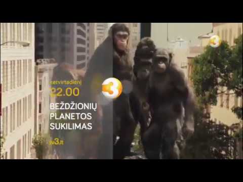 Video: Pavadino Gaminį, Kuris Ateityje Išgelbės Planetą Nuo Bado - Alternatyvus Vaizdas