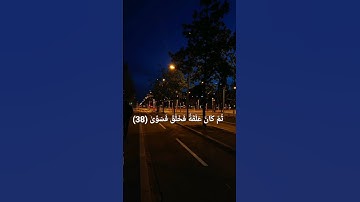 {أَيَحۡسَبُ ٱلۡإِنسَٰنُ أَن يُتۡرَكَ سُدًى....} (من سورة القيامة)