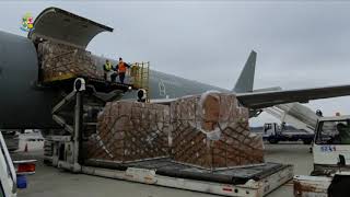 Respiratori Materiale Sanitario Dalla Germania E Dalla Cina In Italia Velivoli Aeronautica Militare