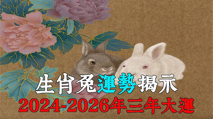生肖兔运势揭示！2024年至2026年生肖兔三年一运的秘密！【佛语】 - 天天要闻