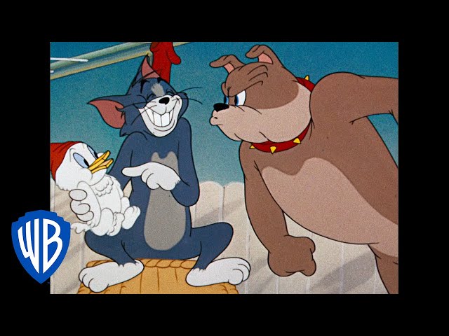 Tom and Jerry for Starters A0: Body Parts - Colours