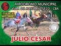 JULIO CESAR, HIPODROMO RIO SECO (29-05-2022)