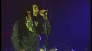 Bob Marley - Zimbabwe (Live In Concert)