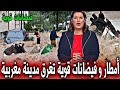 عاجل : فيضانات قوية و سيول جارفة تغرق مدينة مغربية و تخلف كارثة - أخبار اليوم الأحد 28 دجنبر 2025