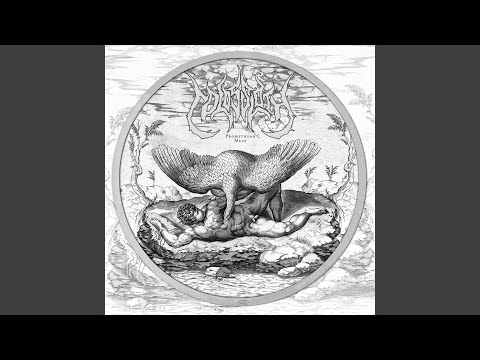 COLOSSLOTH — Tethering the Constellation