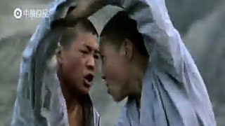 Shaolin Kung Fu: Luohan fighting techniques