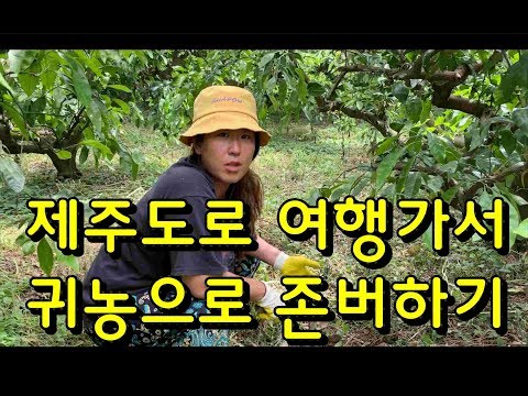 한국여행) 제주도로 여행가서 귀농으로 존버하기 대작전!!