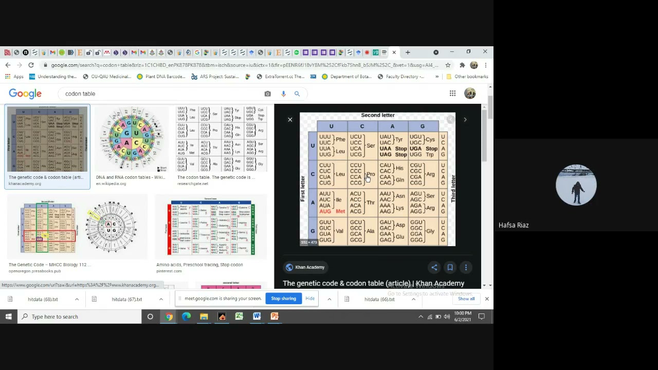 What is Mutation Gene Duplication and Ka and Ks calculation