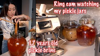 Leaving home for 2 month, Did my 17 year old pickle brine survive? the secret to keep my brine alive by CookingBomb 袁倩祎 35,507 views 9 months ago 1 minute, 37 seconds