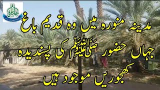 Bagh e Madina || Khajooron Ka Bagh || Madina Live