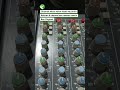Channel Mixer Allen Heath ML5000, Rakitan 8 channel dan master matrix