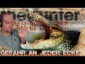 Gefahr an jeder Ecke in Down Under! | theHunter Call of the Wild