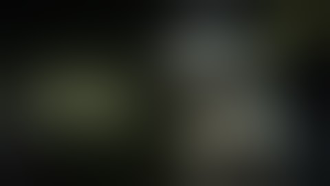 Warframe Profile | Loki