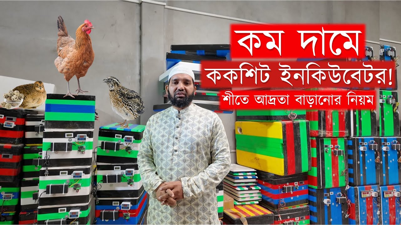 কম দামে ককশিট ইনকিউবেটর! শীতে আদ্রতা বাড়ানোর নিয়ম । incubator machine price in bangladesh