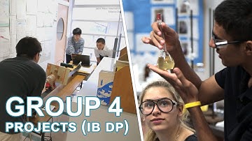 Group 4 project - Diploma Programme (DP) - International Baccalaureate