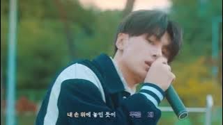 enhypen – just a little bit (몰랐어) : live ✨